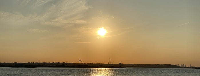 RSPB Rainham Marshes Nature Reserve is one of Tempat yang Disukai Lynn.