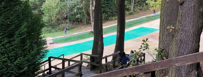 Brentwood Park Ski & Snowboard Centre is one of Essex.