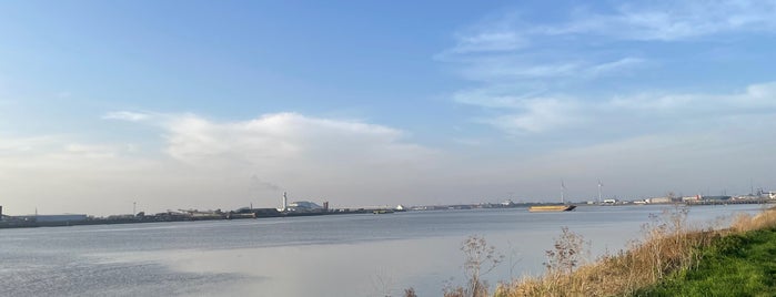 RSPB Rainham Marshes Nature Reserve is one of London outdoor.