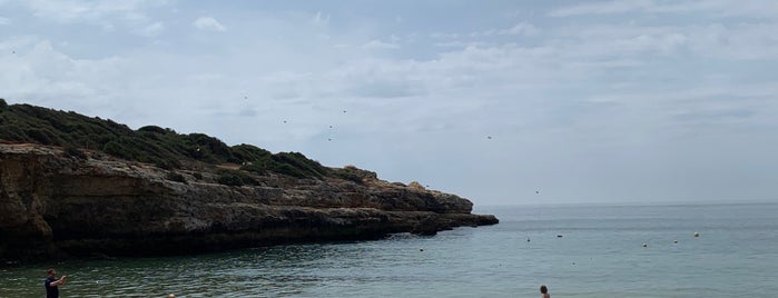 Praia do Pintadinho is one of Praias do Algarve.