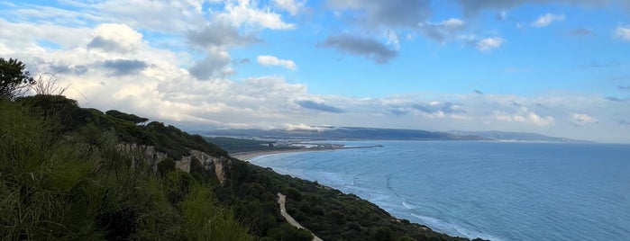 Barbate is one of Andalucía.