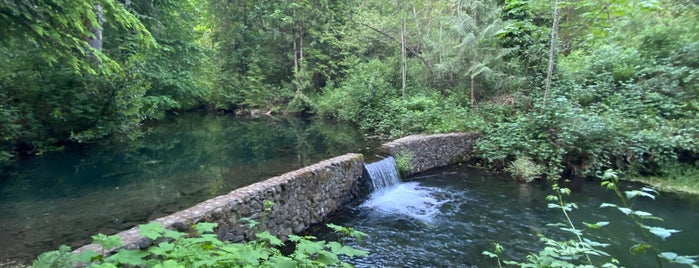 Green River Gorge Waterfall is one of Seattle’s Swimming Holes.