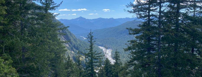 Mount Rainier National Park is one of Washington Faves.
