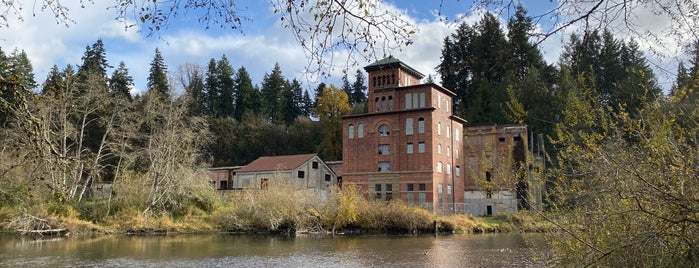 Original Olympia Brewing Company is one of USA 3.