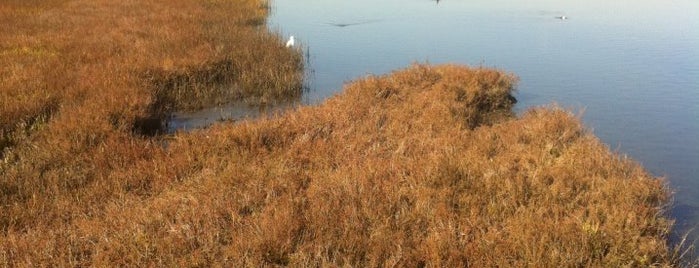 Bolsa Chica Wetlands is one of Lieux sauvegardés par Sativa.