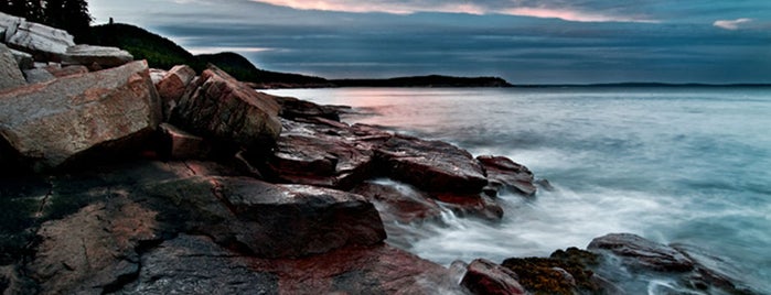 Acadia National Park is one of Wildlife Watching in National Parks.