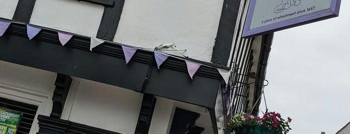 The Purple Dog is one of Pubs.