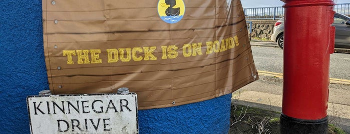 The Dirty Duck Alehouse is one of Ireland 2015.