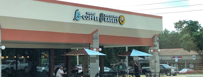 Einstein Bros Bagels is one of The 15 Best Places for Berries in Clearwater.