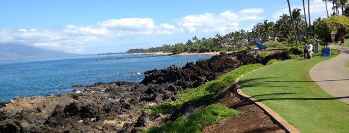 Wailea is one of Lugares favoritos de Lisle.