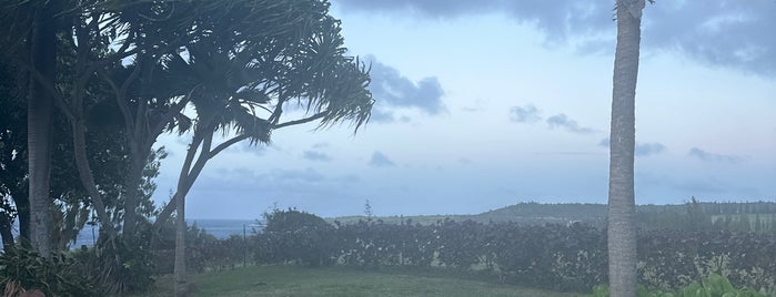 Kapalua Coastal Trail is one of Maui 2020.