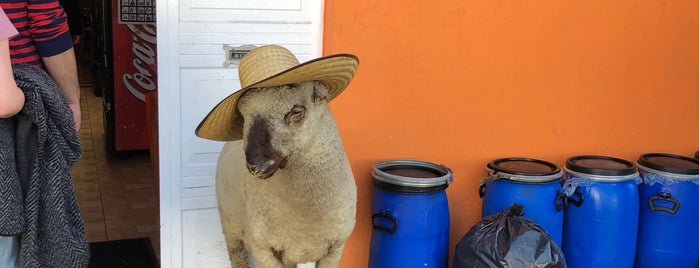 Los Corderitos is one of Posti che sono piaciuti a Catador.