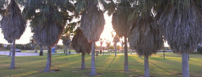 FAU Jupiter Disc Golf Course is one of first.