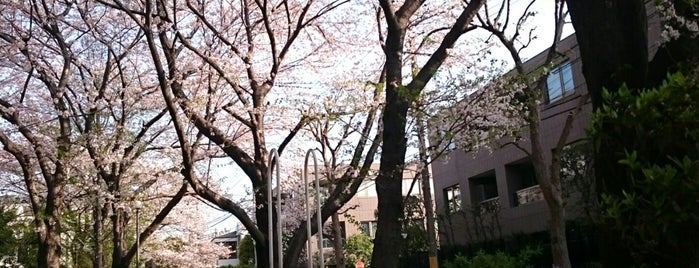 御殿山の坂 is one of Urban Outdoors@Tokyo.
