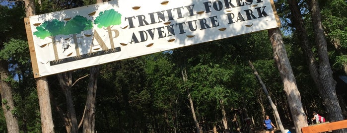 Trinity Forest Adventure Park is one of * Gr8 Museums, Entertainment & Attractions—DFdub.