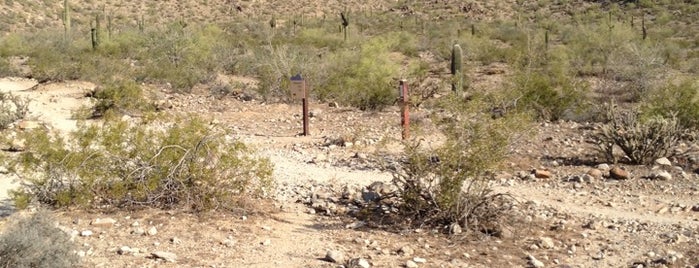 Telegraph Pass & Desert Classic Trail Switch is one of Aire Zona.