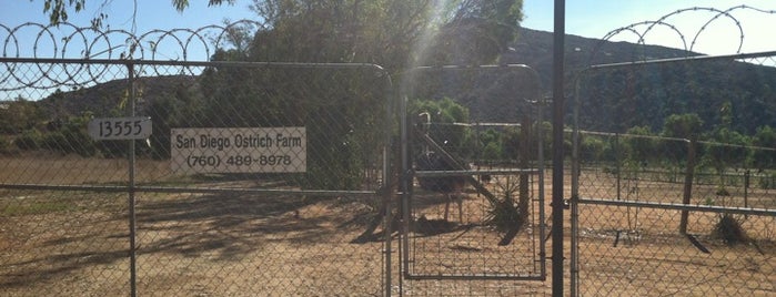 Ostrich Farm is one of Tempat yang Disukai Elina.