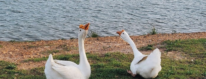 Idle Hour Park is one of Parks.