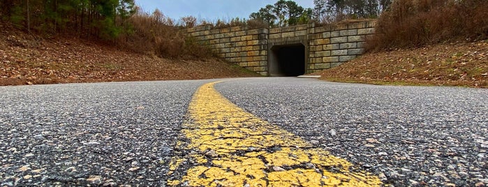 Neuse River Greenway Trail @ Poole Rd is one of Locais curtidos por James.