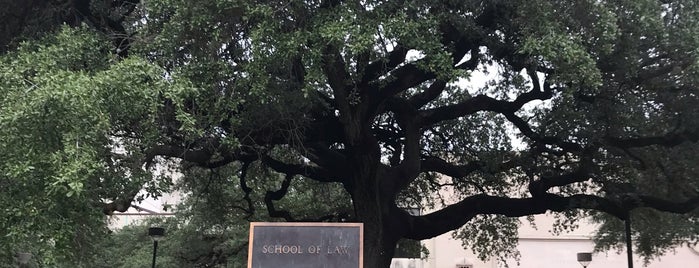 University of Texas School of Law is one of Austin's favorites.