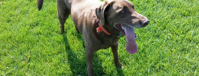 Harris Family Dog Park is one of Cherri'nin Beğendiği Mekanlar.