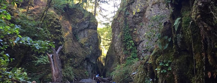 Oneonta Gorge is one of Weekend ideas.