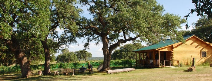 McReynolds Winery is one of Texas Wine.