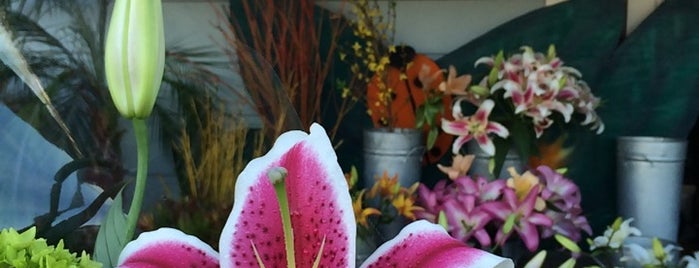 Lady Bug Flowers is one of Top 10 dinner spots in sausalito, CA.