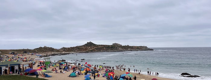Playa Punta de Tralca is one of Viaje con Jose.