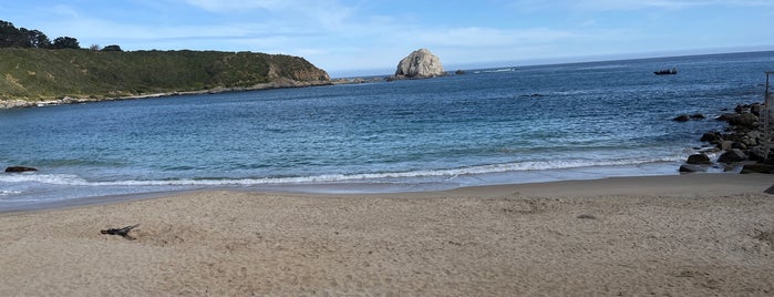 Playa el Canelillo is one of Tempat yang Disukai Mario.