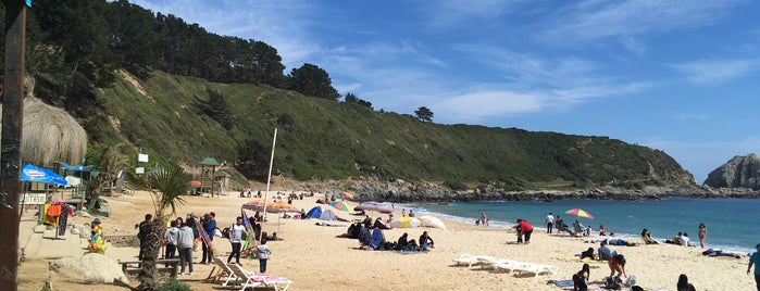 Playa El Canelo is one of Algarrobo, Valparaíso.