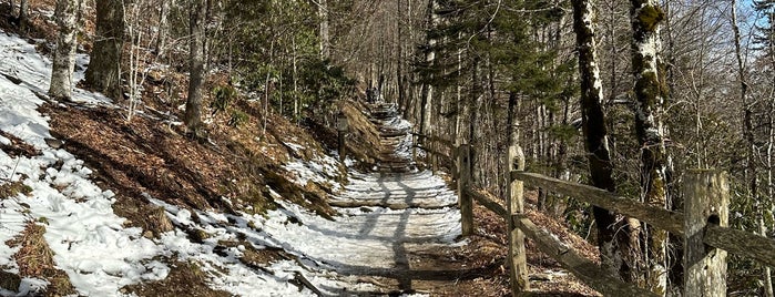 Appalachian Trail Newfound Gap Section is one of Asheville, NC.