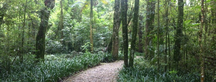 Bosque Papa João Paulo II is one of To do Curitiba.