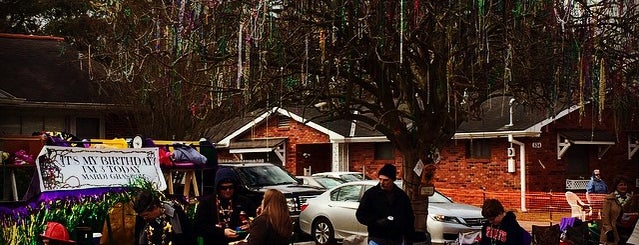 The Mardi Gras Tree is one of NEW ORLEANS.