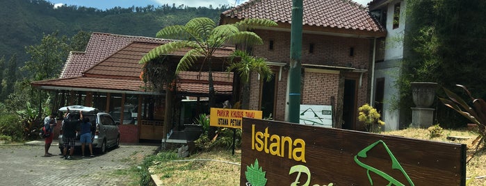 Istana Petani Homestay is one of Liburan keluarga 2014.