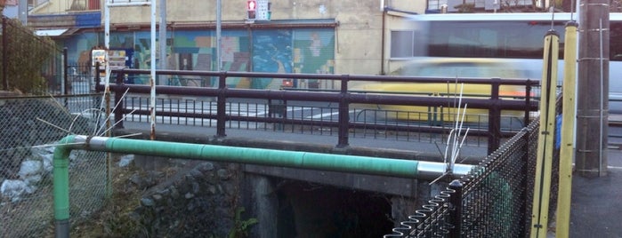 柿沢橋 is one of 霞川にかかる橋.