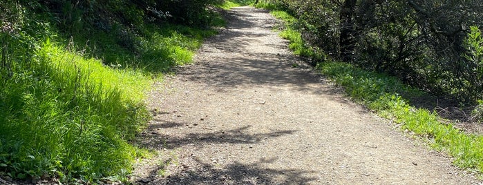 Bridge View Trail is one of Hiking, Nature, Outdoors.