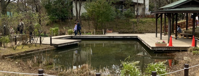 Adachi Park of Living Things is one of 東京.