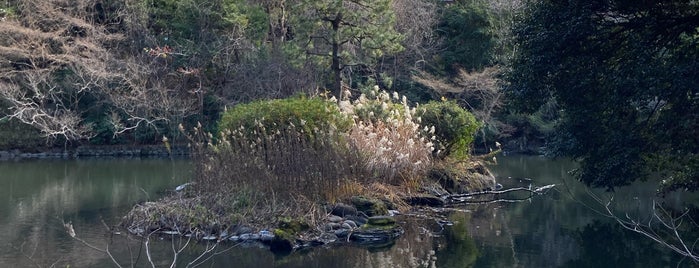 Sanshiro Pond is one of Japan.