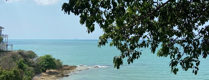 Papa Beach Pattaya is one of เที่ยวพัทยา 03-2021.