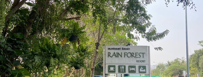 Rain Forest Resort is one of Food 2.
