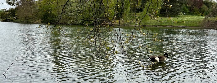 Lac Inférieur is one of Parisian.
