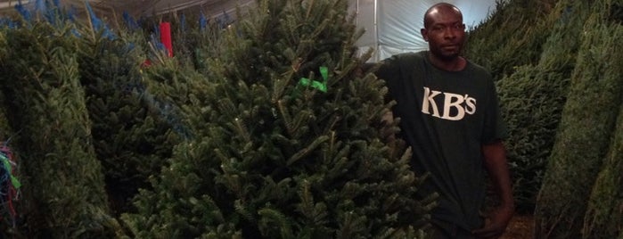 Kb Christmas Trees is one of Posti che sono piaciuti a miamism.