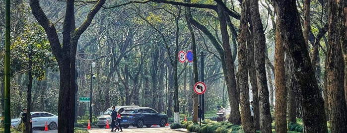 Hangzhou Botanical Garden is one of Китай.