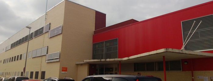 Colegio publico San Roque maria de huerva is one of Servicios.