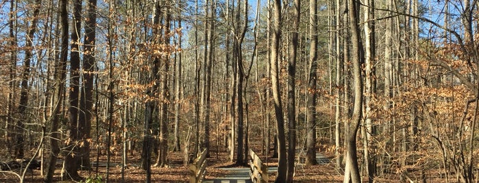 Mineral Springs Walking Trail is one of Lieux qui ont plu à ed.