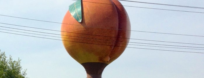 Peachoid, The Gaffney Peach is one of Lugares favoritos de Terry.