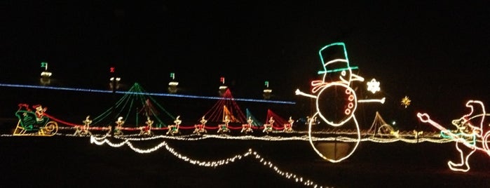 The Best Christmas Lights Ever!