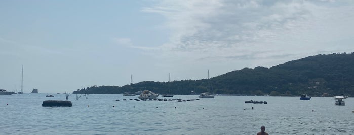 Spiaggia l'Olivo is one of Portovenere.