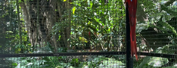 Flamingo Gardens is one of Museums, Parks and Schtuff.